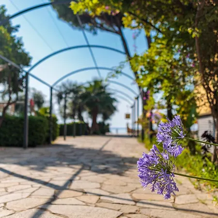 Blumare Diano Marina